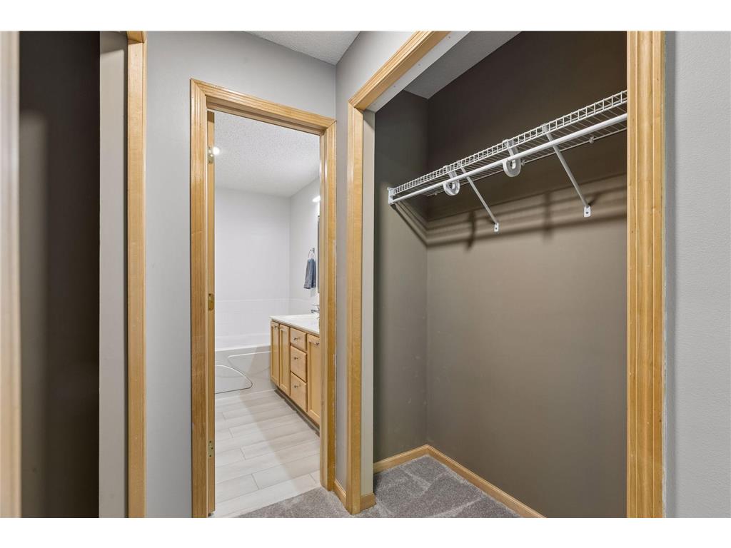 306 Brickyard Drive Chaska MN 55318 7098408 image18