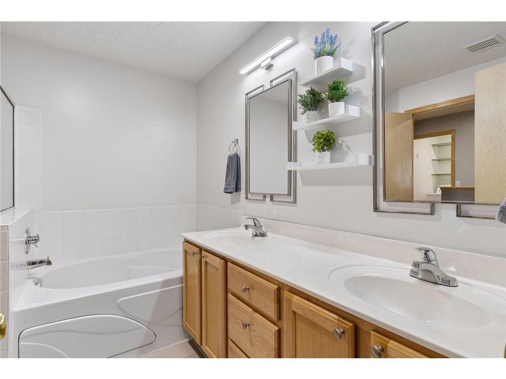 306 Brickyard Drive Chaska MN 55318 7098408 image19
