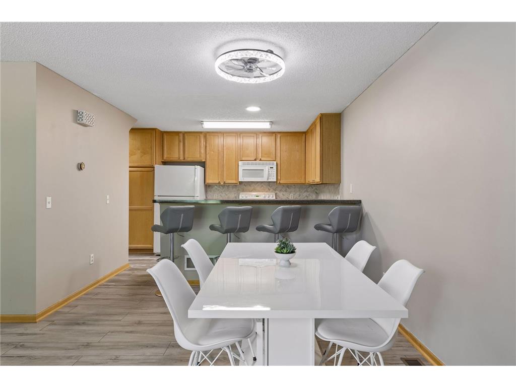 306 Brickyard Drive Chaska MN 55318 7098408 image6