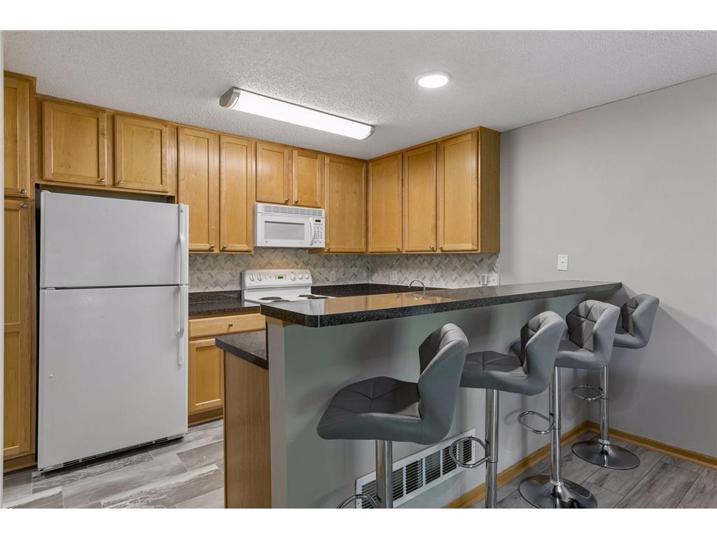 306 Brickyard Drive Chaska MN 55318 7098408 image9