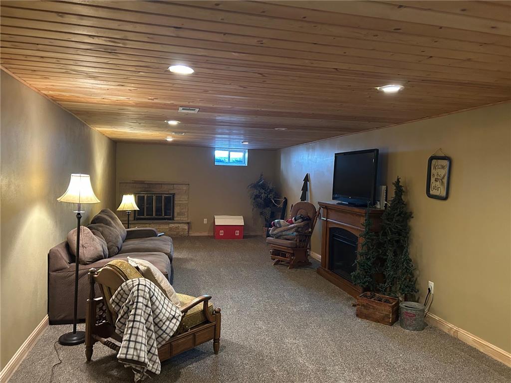 306 E 2nd Street Minneota MN 56264 7051465 image19