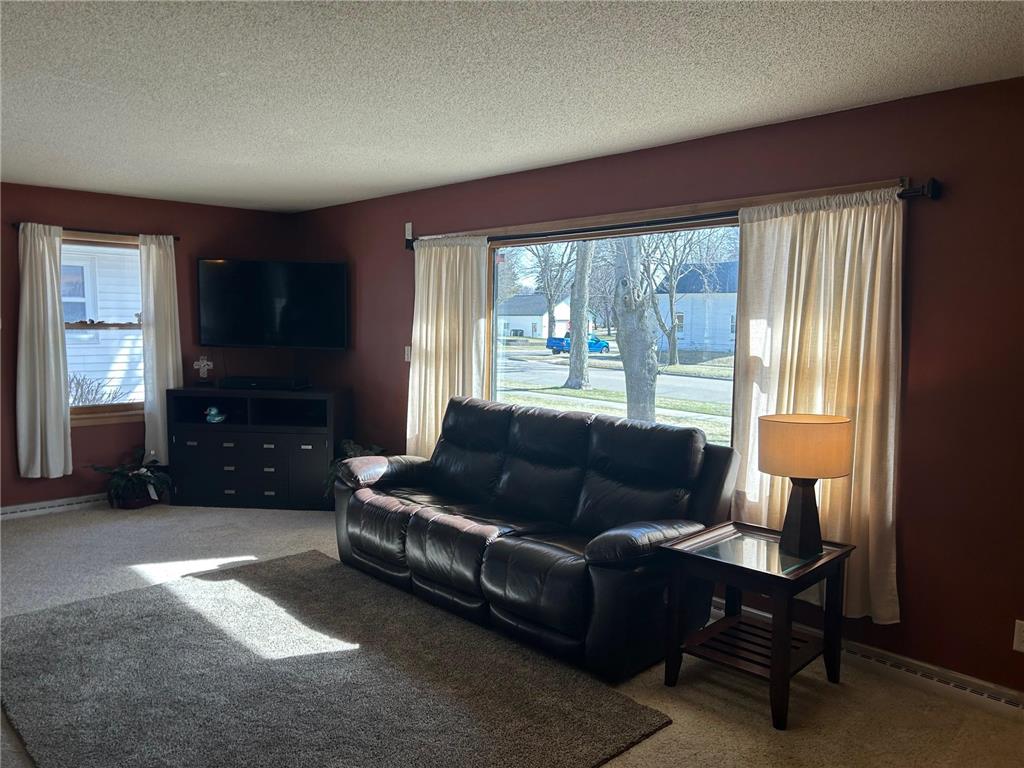 306 E 2nd Street Minneota MN 56264 7051465 image6