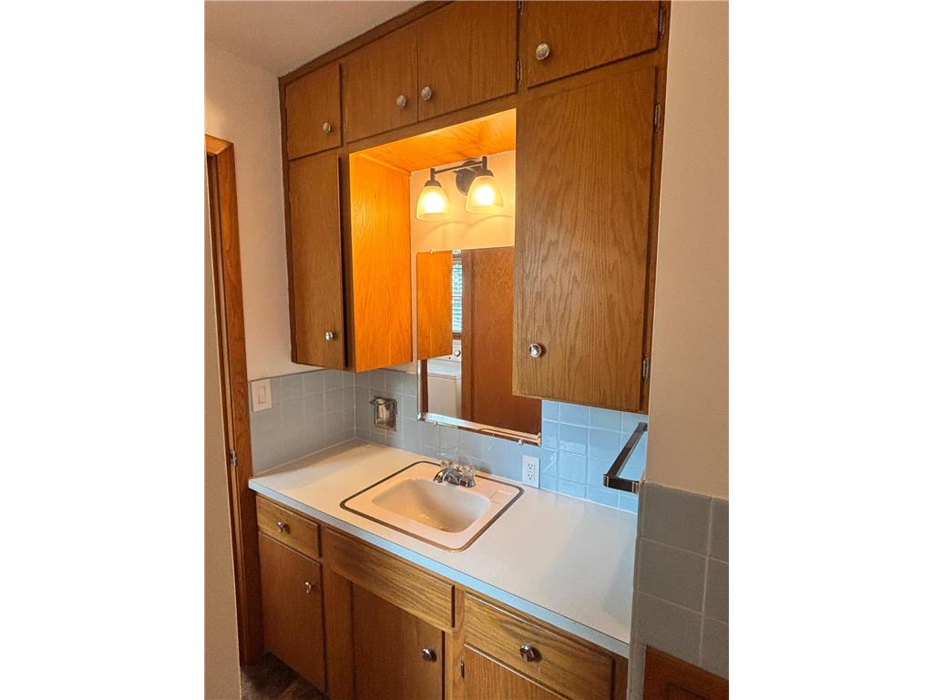 306 E 5th Street N Truman MN 56088 7080749 image25
