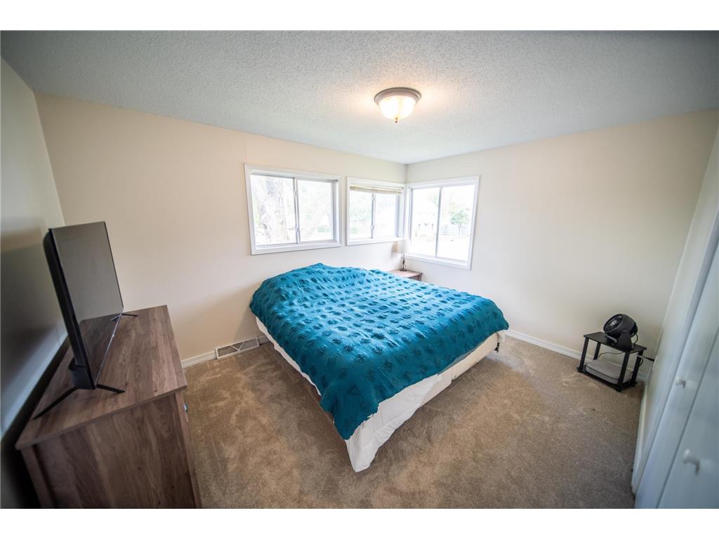 306 Hiawatha Drive E Wabasha MN 55981 6721352 image10