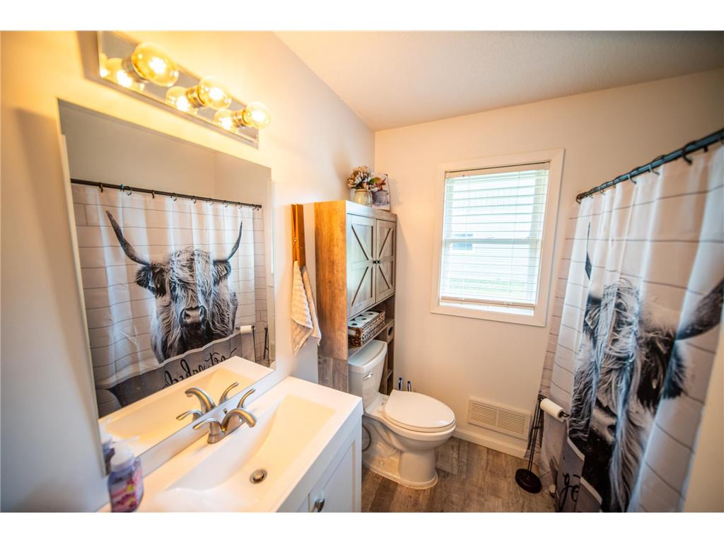 306 Hiawatha Drive E Wabasha MN 55981 6721352 image9