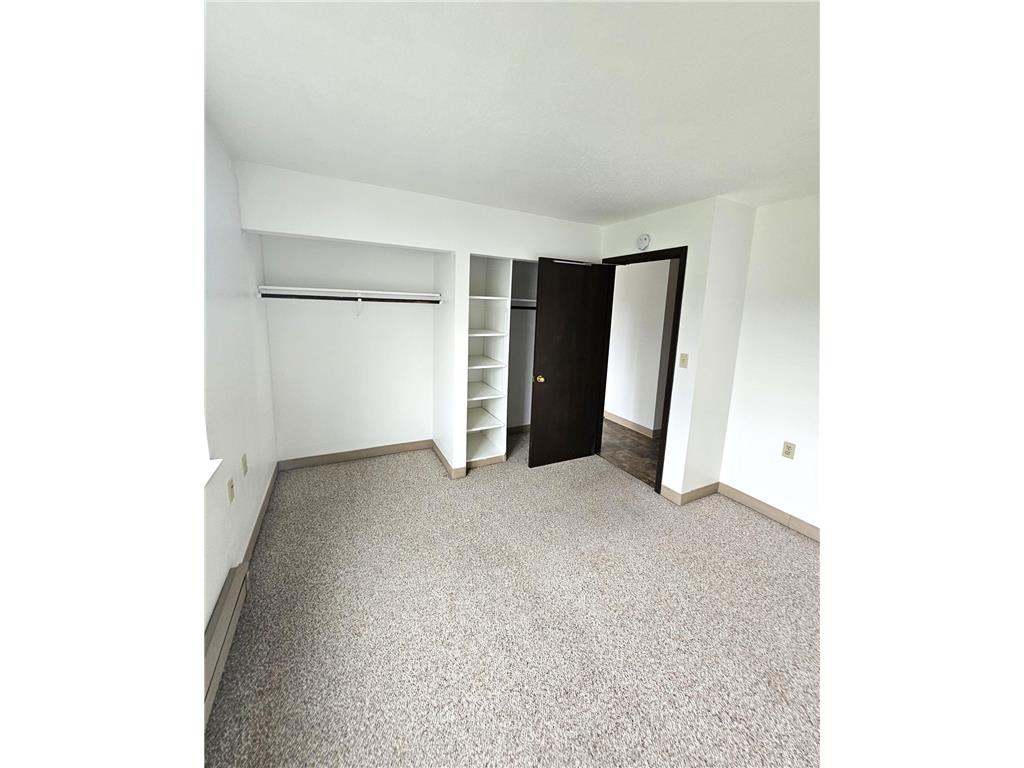 306 S East Street Caledonia MN 55921 6808253 image12