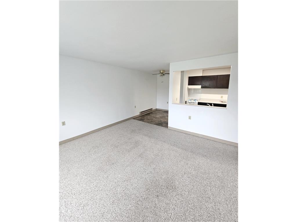 306 S East Street Caledonia MN 55921 6808253 image6