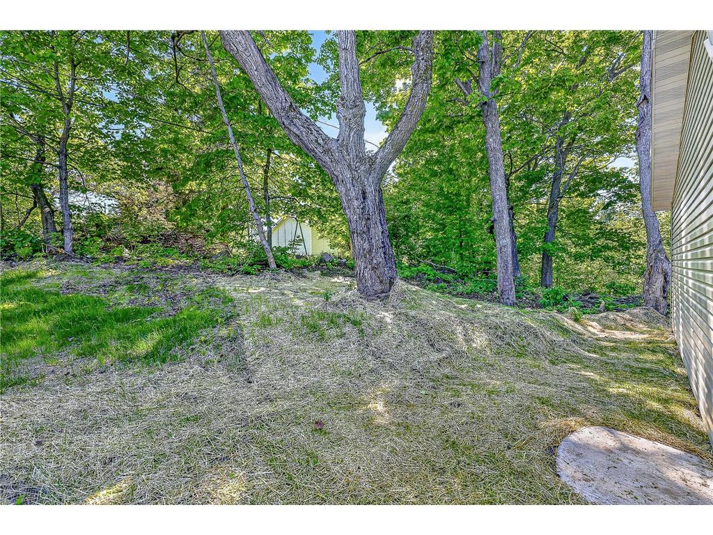 306 W Palm Street Duluth MN 55811 7089293 image33