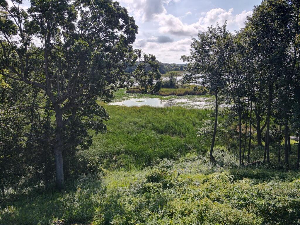 30751 Wallmark Lake Drive Chisago City MN 55013 - Wallmark 7028973 image39