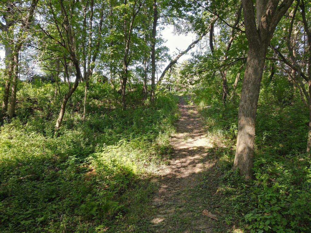 30751 Wallmark Lake Drive Chisago City MN 55013 - Wallmark 7028973 image51