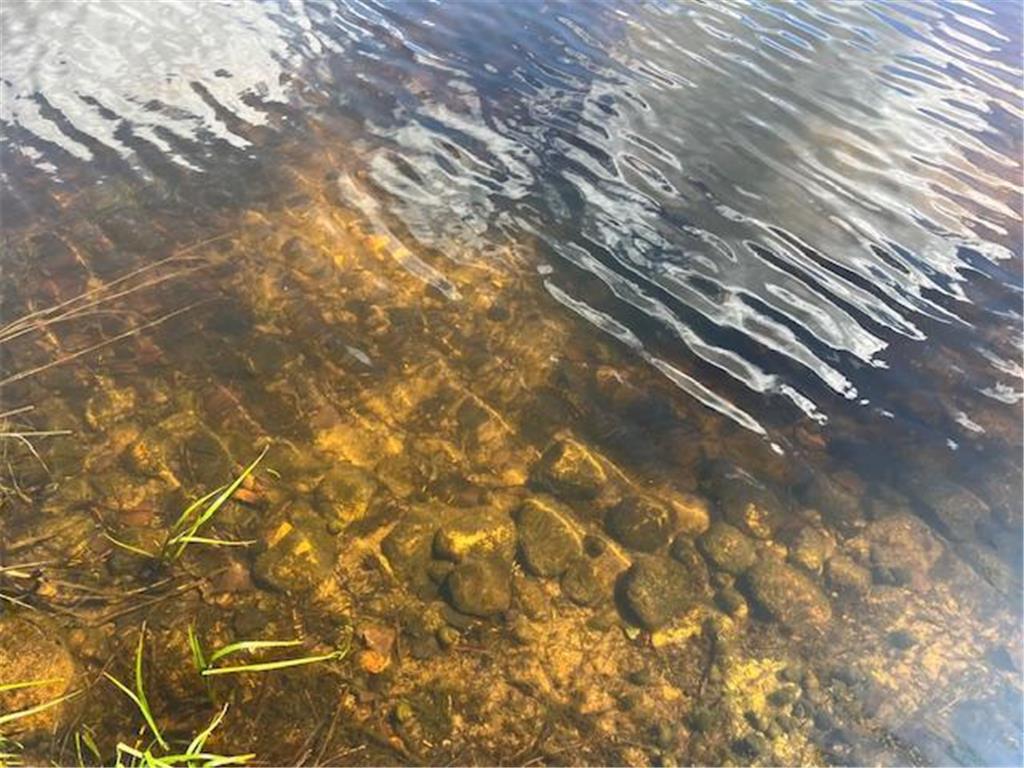 30602 County Road 52 Bigfork MN 56628 - Long Lake 6654508 image14