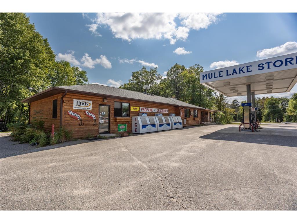 3062 State Highway 84 NE, Longville, MN, 56655 MLS 6224333 Edina