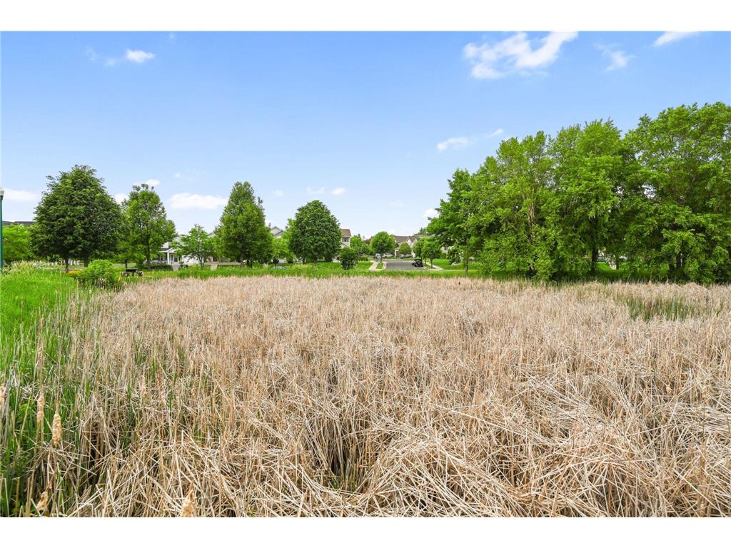 3062 Walden Drive Chaska MN 55318 7087155 image45