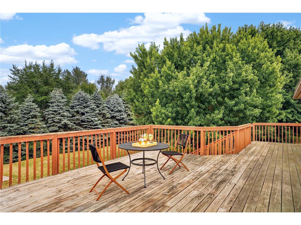 3065 225th Street W Castle Rock Twp MN 55024 7106501 image16