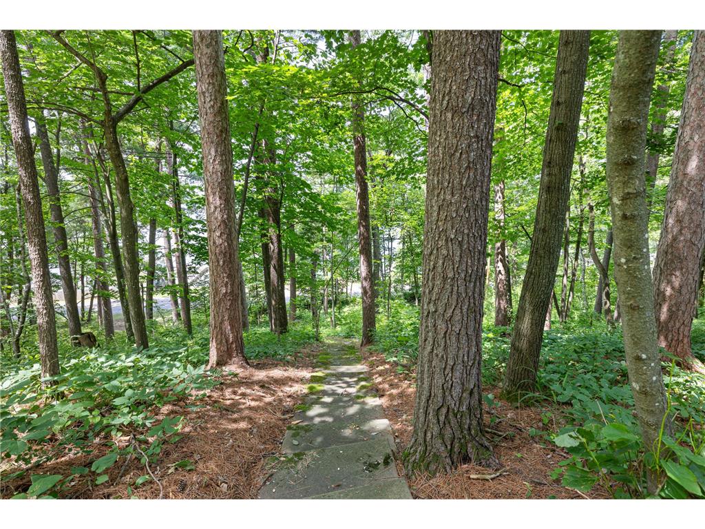30653 Dove Road Scandia Valley Twp MN 56443 - Alexander Lake 7109676 image17