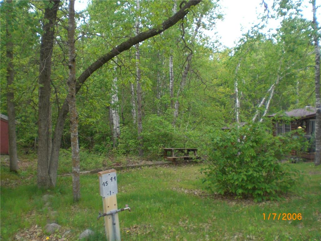 30667 Plumwood Trail Breezy Point MN 56472 - Pelican 6729392 image1