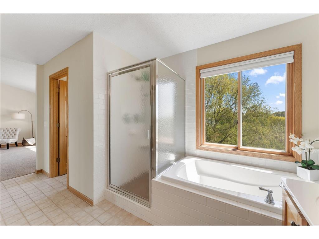 3069 Meadow Brook Drive Woodbury MN 55125 7067843 image31