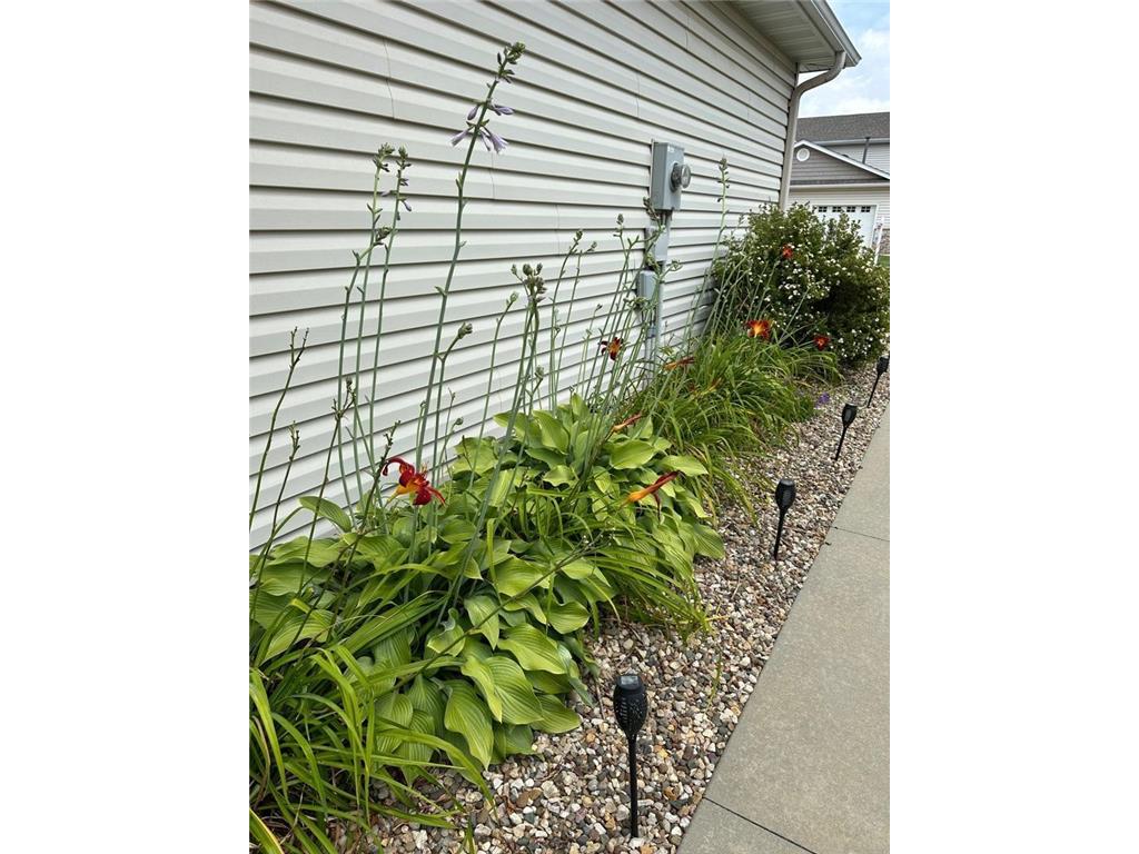 3069 Venice Lane NW Rochester MN 55901 7036619 image31