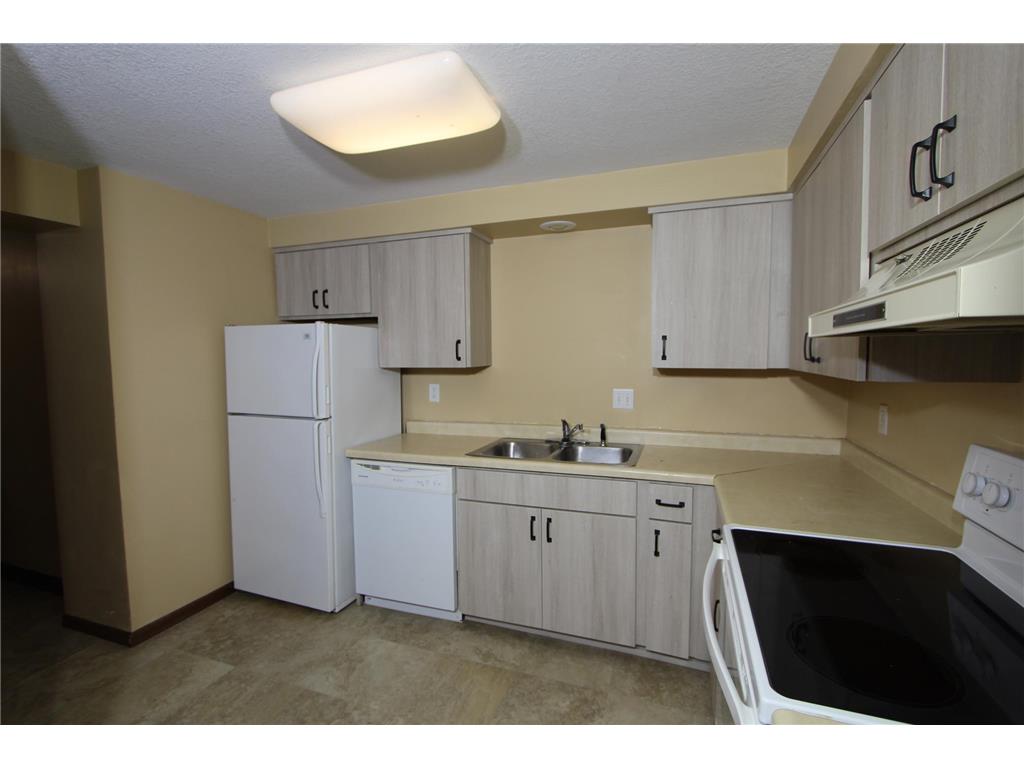 307 Arcadian Place Buffalo MN 55313 7090745 image10