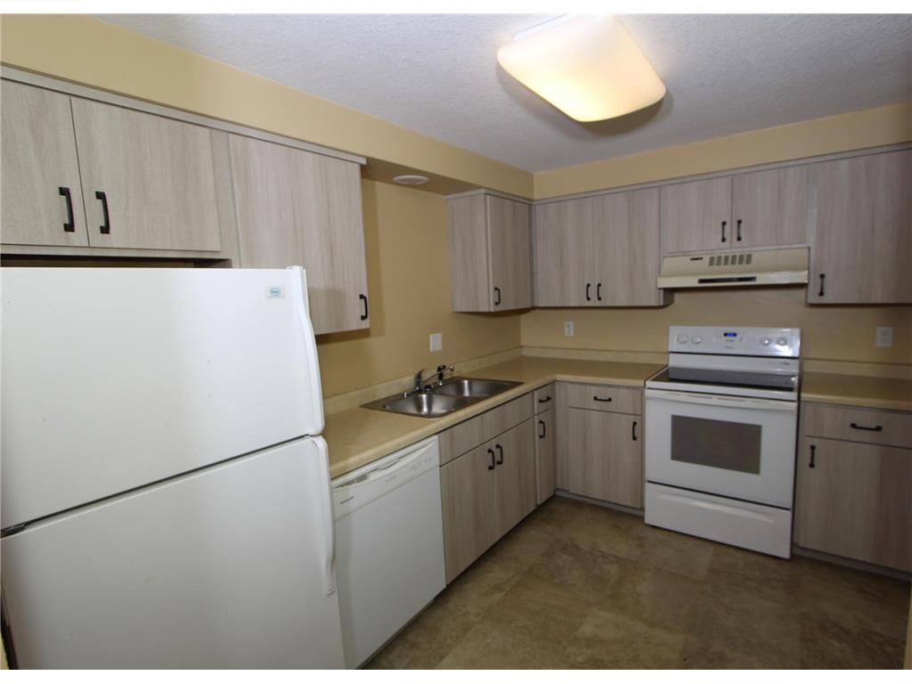 307 Arcadian Place Buffalo MN 55313 7090745 image11