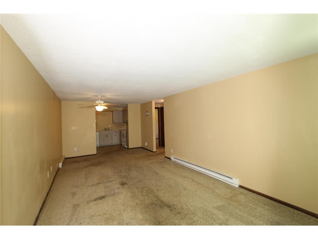 307 Arcadian Place Buffalo MN 55313 7090745 image4