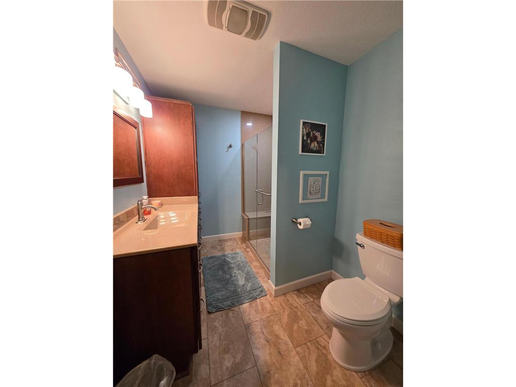 307 Brook Avenue N Porter MN 56280 7078267 image17