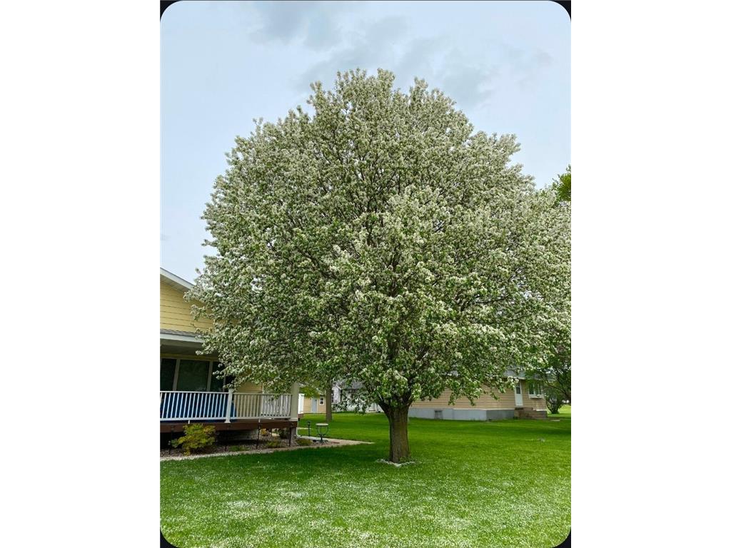 307 Brook Avenue N Porter MN 56280 7078267 image2