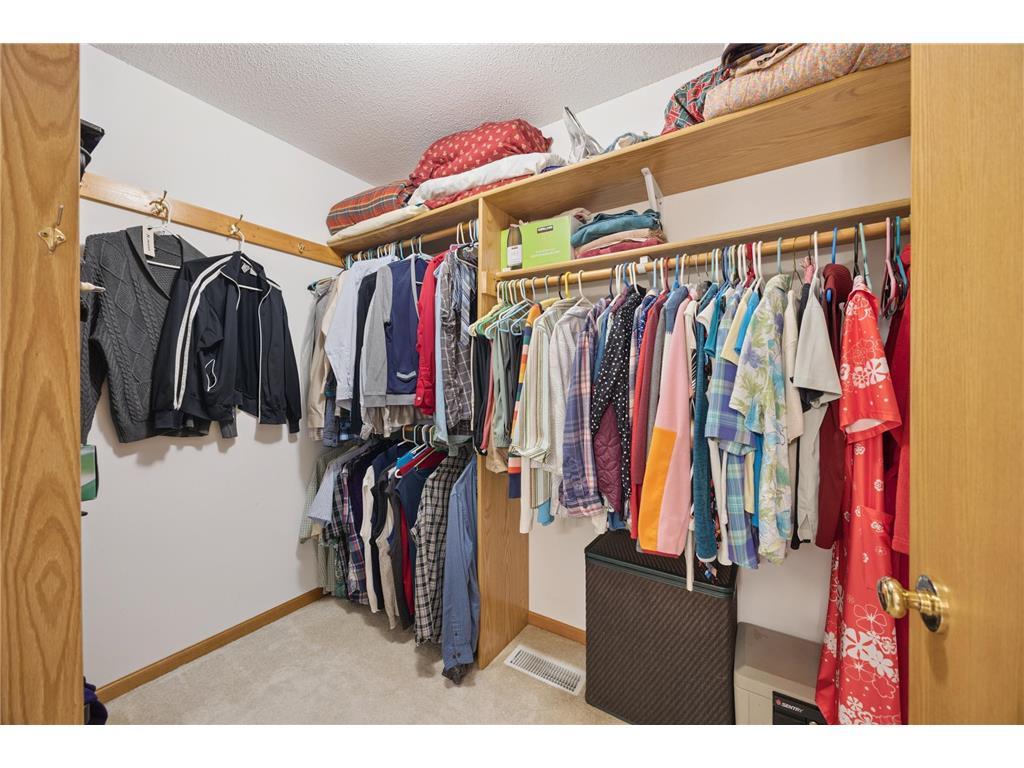 307 Circle View Drive Dassel MN 55325 6784056 image16