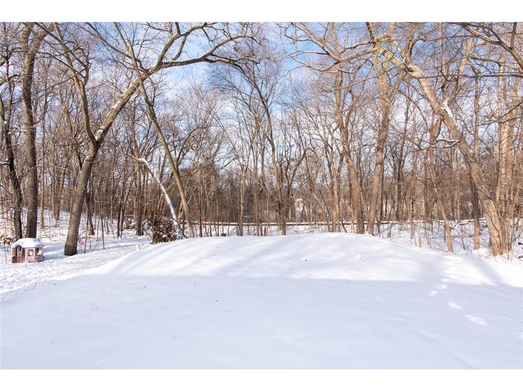 3070 Maple Drive Prior Lake MN 55372 7004488 image28