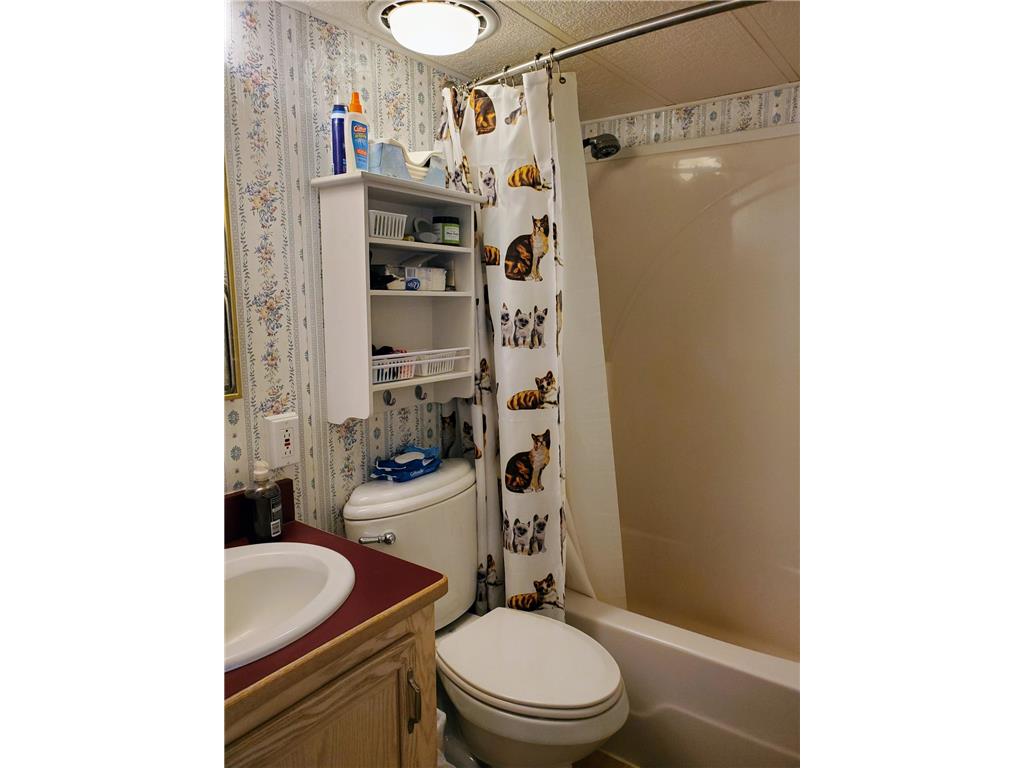 30730 Cougar Pass Breezy Point MN 56472 - Pelican 7049343 image13