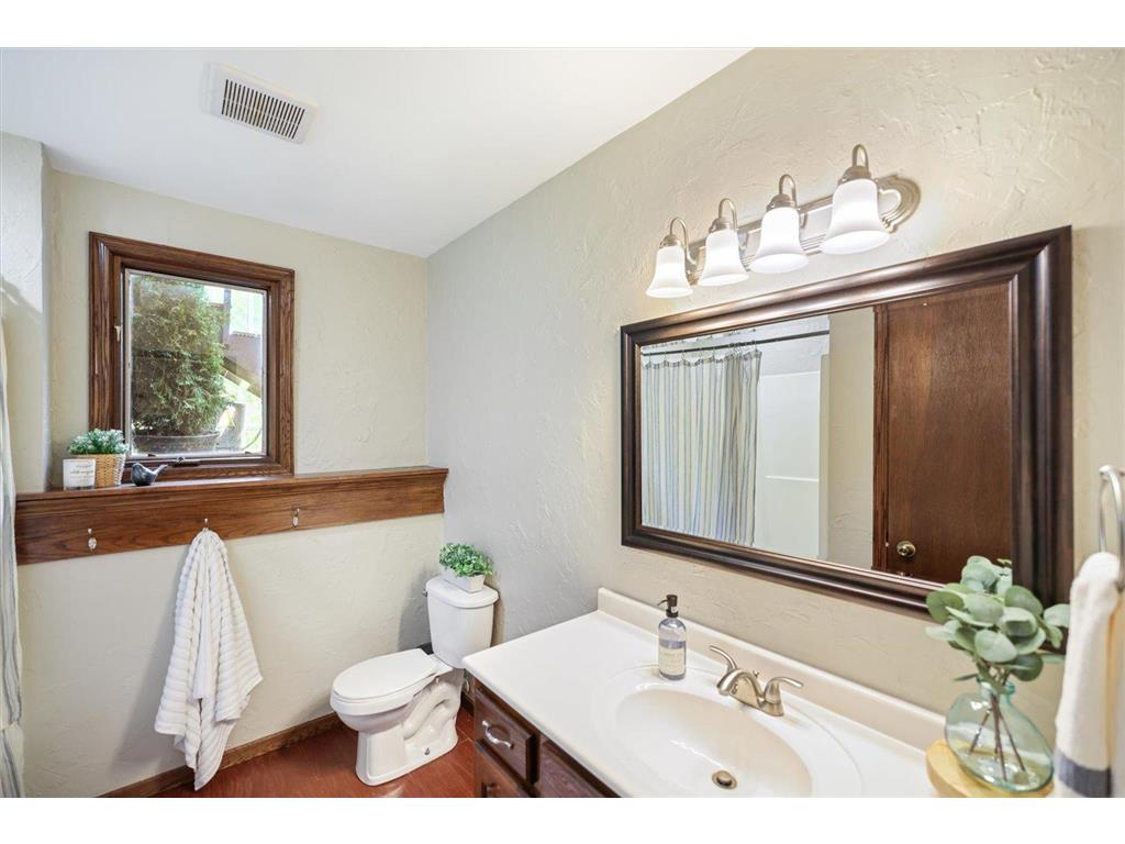 308 Douglas Drive Buffalo MN 55313 - Pulaski 7113757 image30