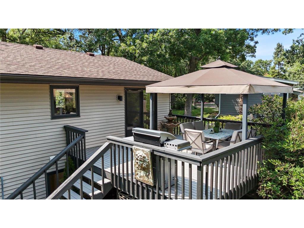308 Douglas Drive Buffalo MN 55313 - Pulaski 7113757 image48