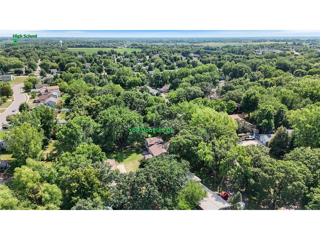 308 Douglas Drive Buffalo MN 55313 - Pulaski 7113757 image62