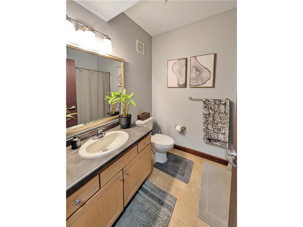 308 E 18th Street #305 Minneapolis MN 55404 6766396 image9