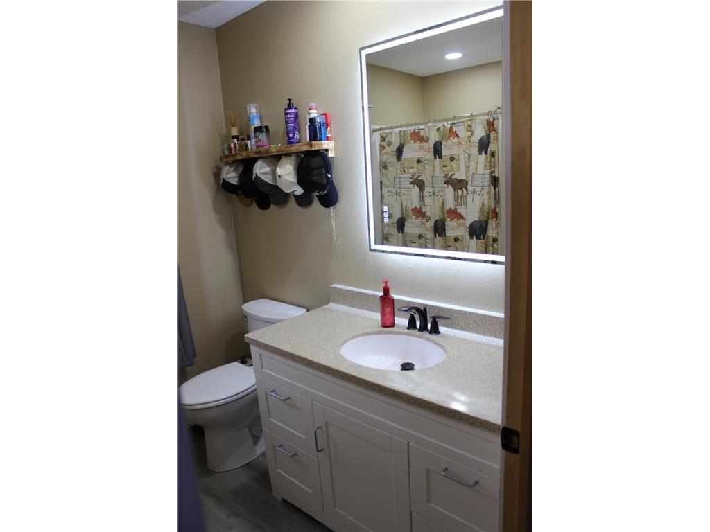 308 Lois Avenue S Herman MN 56248 7030661 image10