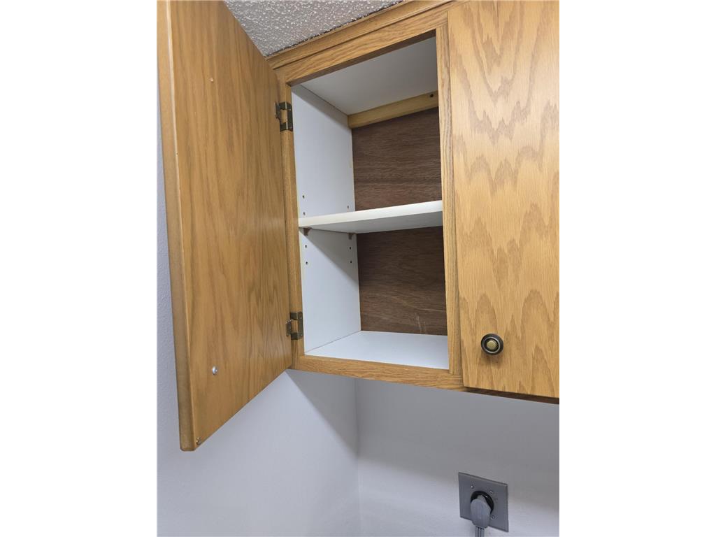 308 N Renville Street Winthrop MN 55396 7060330 image10