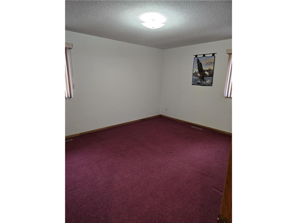 308 N Renville Street Winthrop MN 55396 7060330 image14