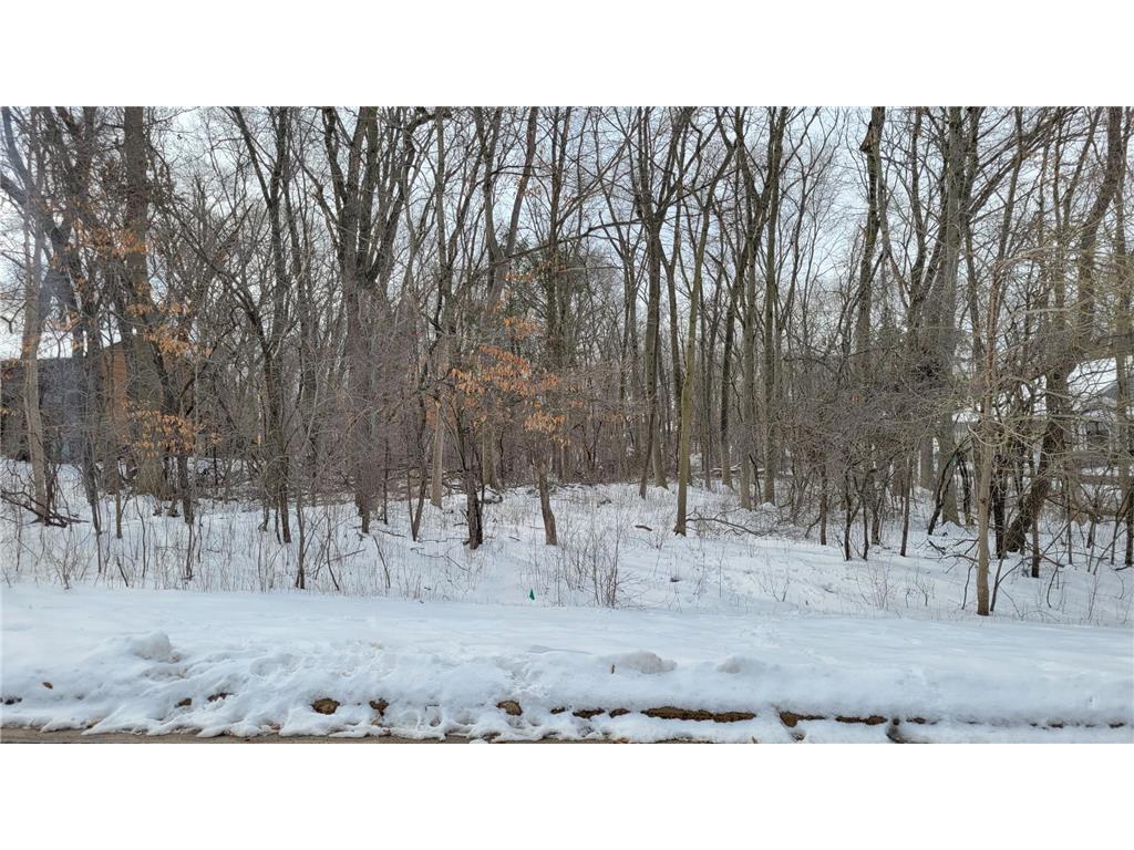 308 Sommers Street N North Hudson WI 54016 6510807 image1