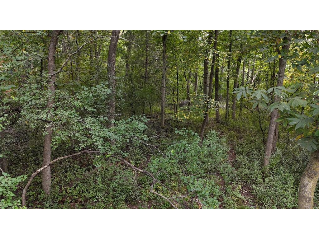 308 Sommers Street N North Hudson WI 54016 6613743 image1