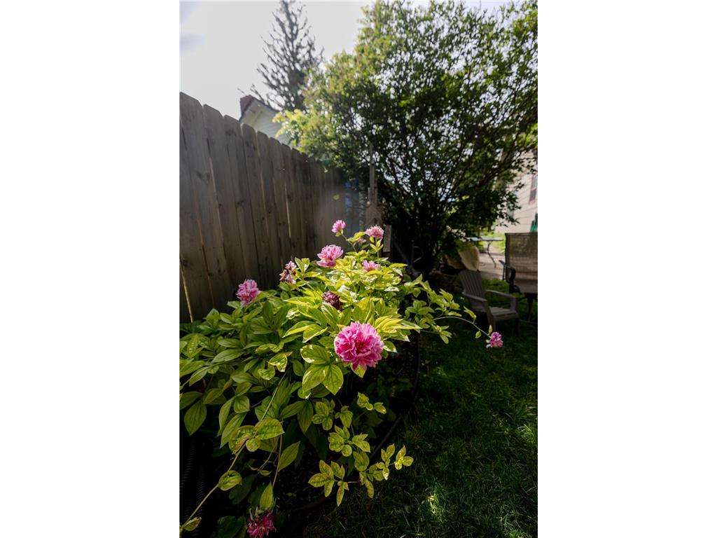 308 W 9th Street Morris MN 56267 7093994 image12