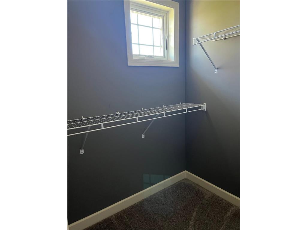 3080 191st Street W Empire Twp MN 55024 7072326 image59