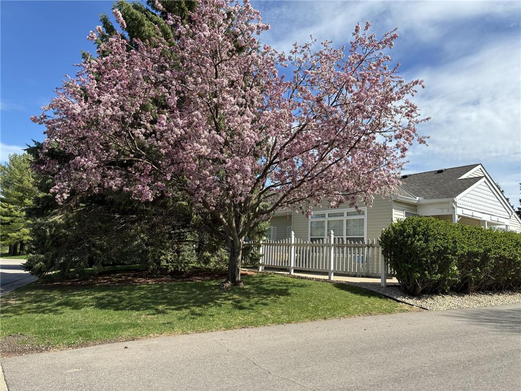 3080 Timberwood Trail #35 Eagan MN 55121 7084948 image42