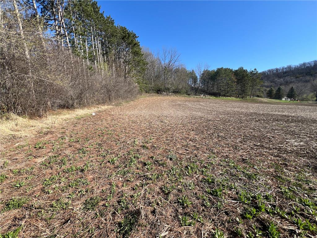 30801 Keye Avenue Way, Red Wing, MN, 55066 MLS 6523994 Edina Realty