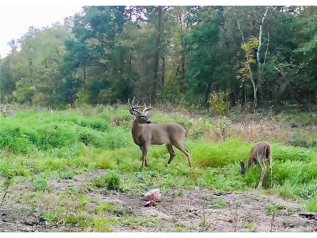 30871 Sunset Rd Detroit Lakes MN 56501 - Sand Lake 6807188 image52