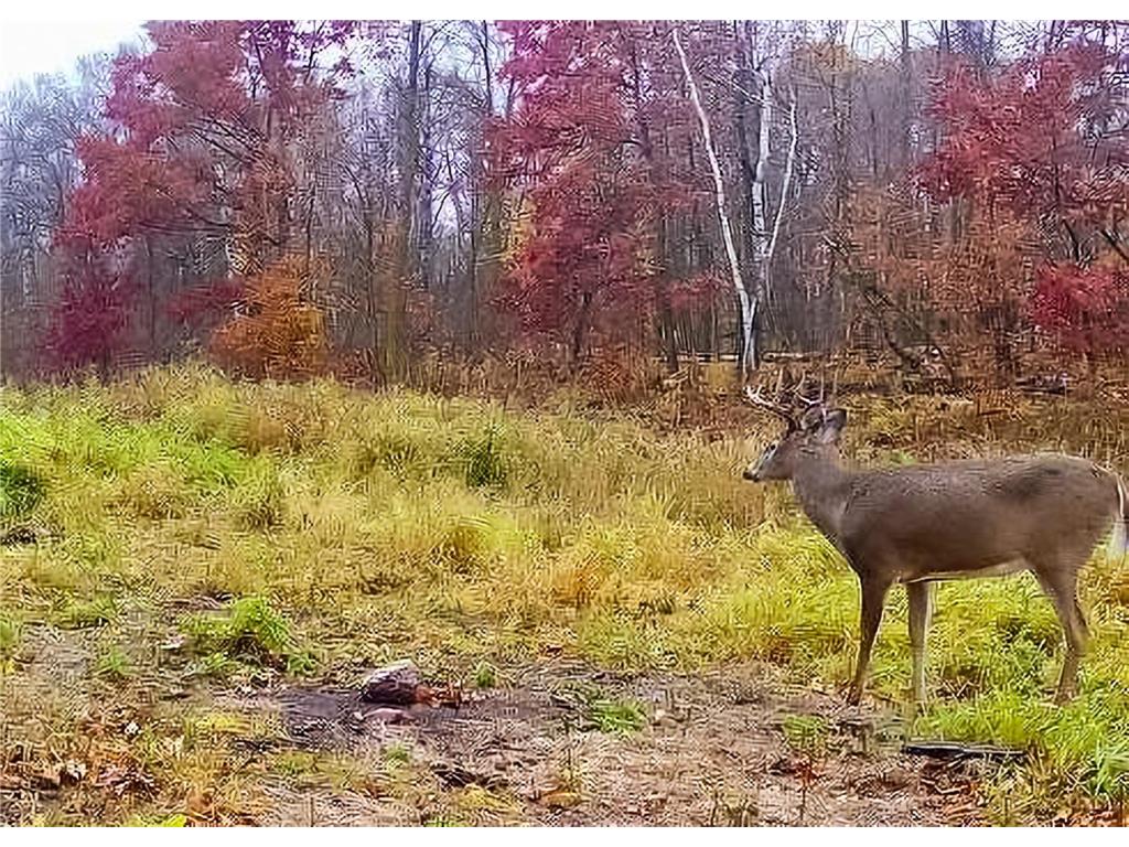 30871 Sunset Rd Detroit Lakes MN 56501 - Sand Lake 6807188 image53