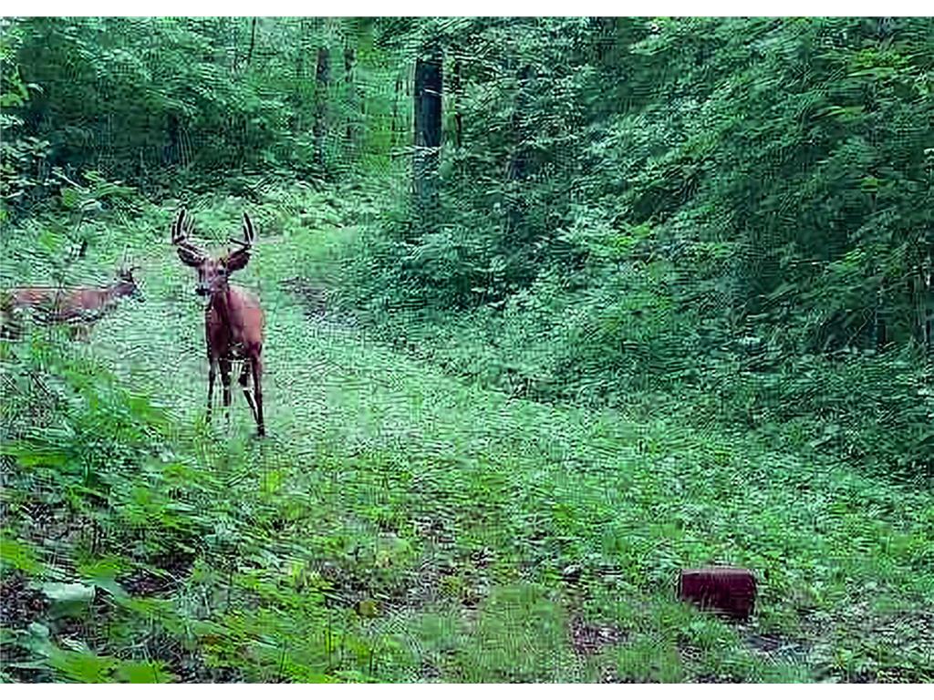 30871 Sunset Rd Detroit Lakes MN 56501 - Sand Lake 6807188 image54