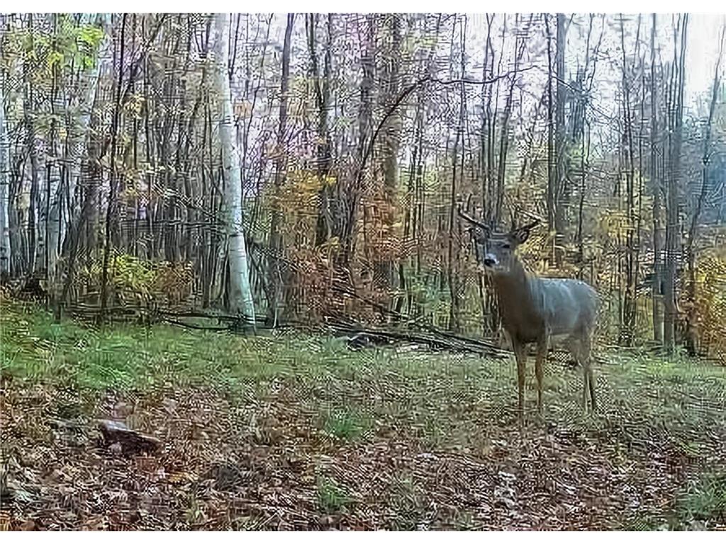 30871 Sunset Rd Detroit Lakes MN 56501 - Sand Lake 6807188 image55