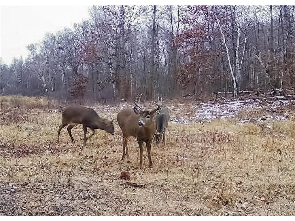 30871 Sunset Rd Detroit Lakes MN 56501 - Sand Lake 6807188 image56