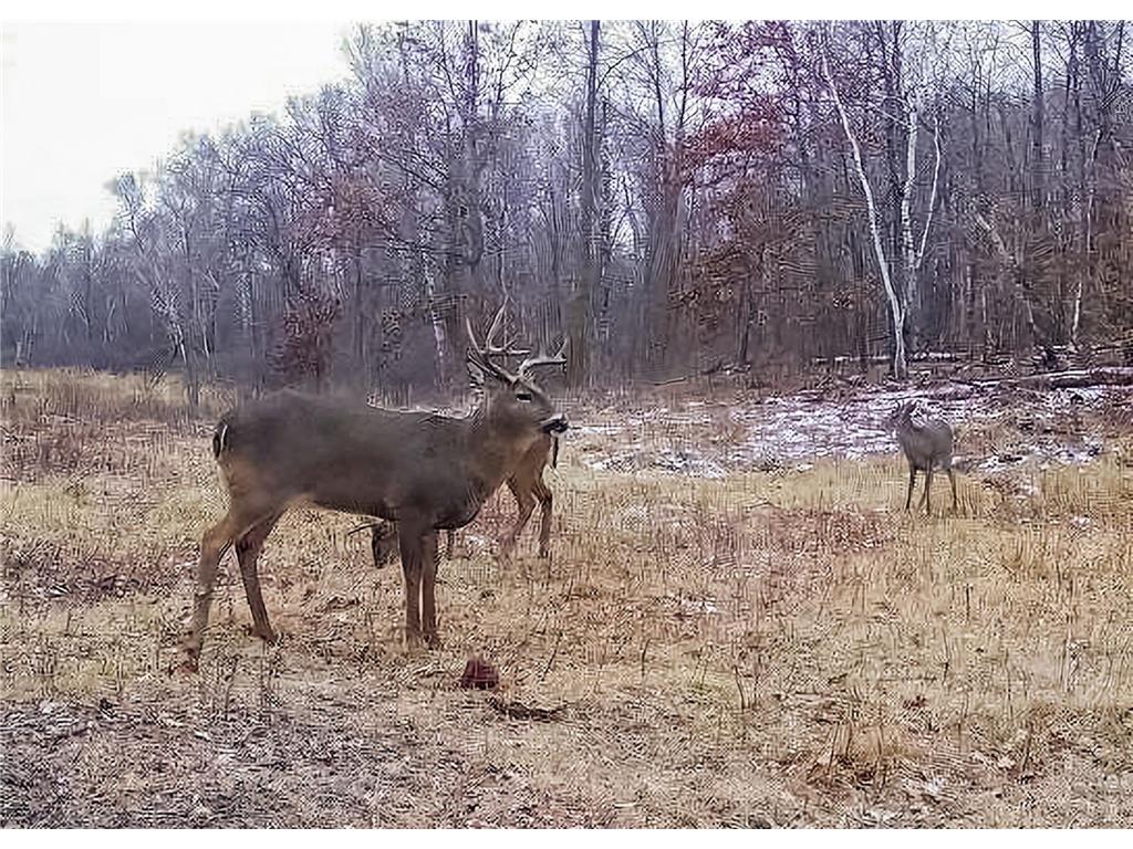 30871 Sunset Rd Detroit Lakes MN 56501 - Sand Lake 6807188 image57