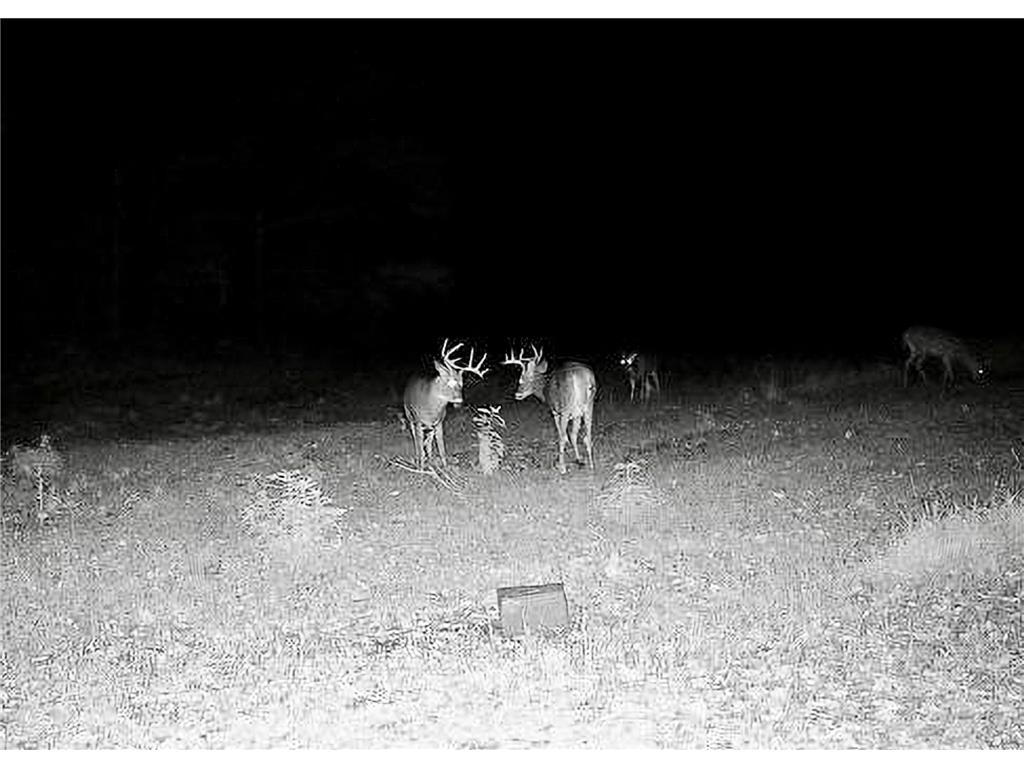 30871 Sunset Rd Detroit Lakes MN 56501 - Sand Lake 6807188 image58